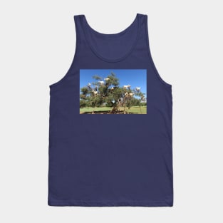 Goats in trees Tank Top